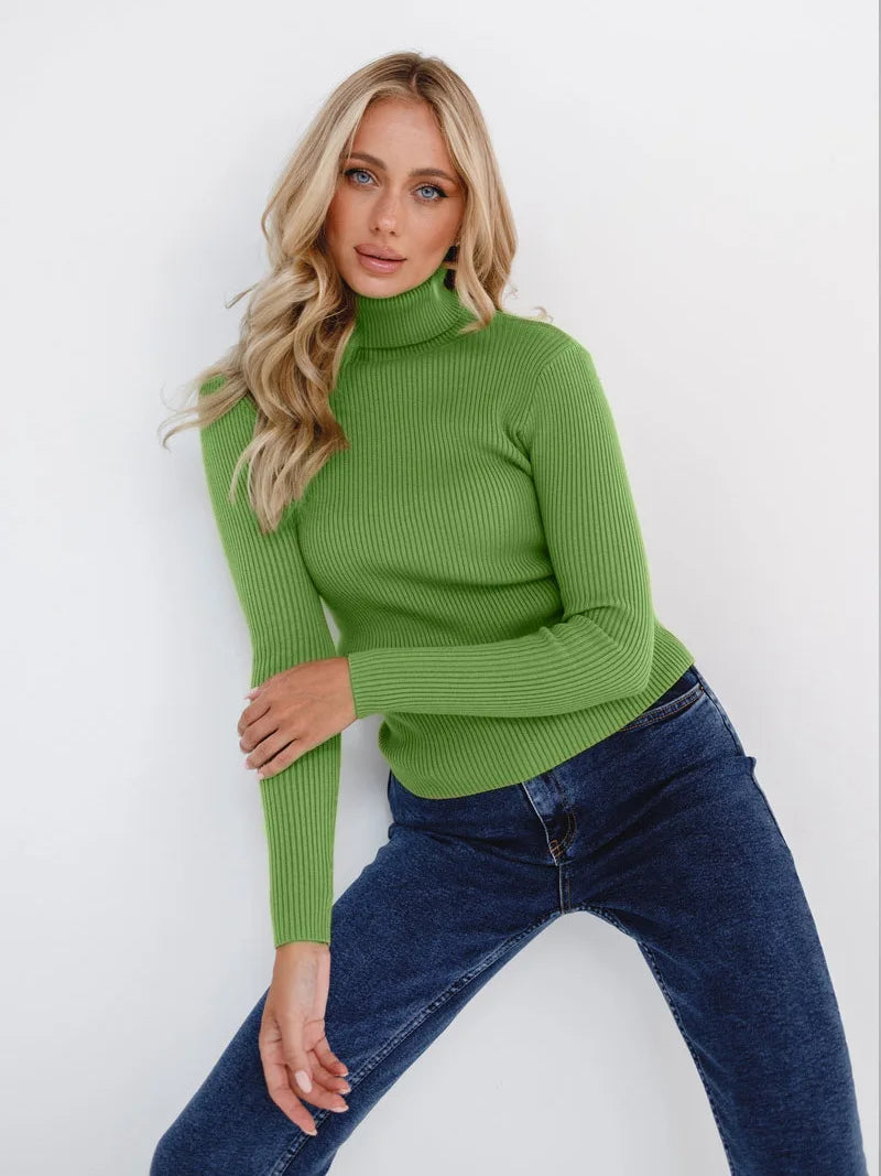 Basic High Neck Jumper