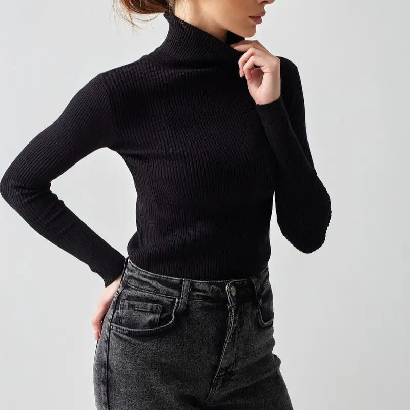 Basic High Neck Jumper