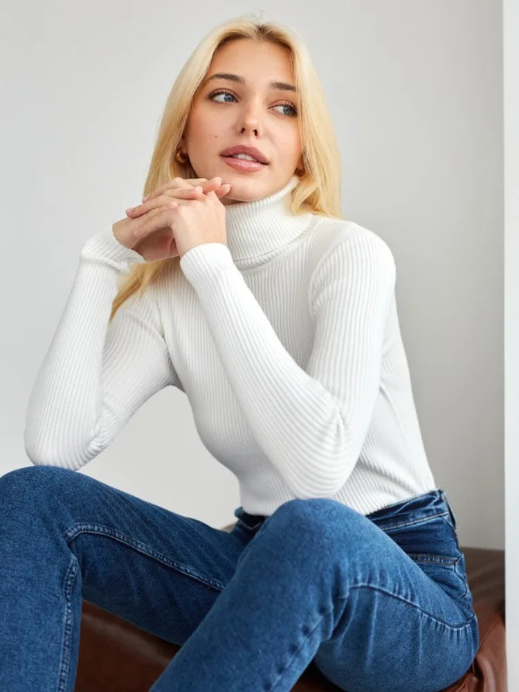 Basic High Neck Jumper