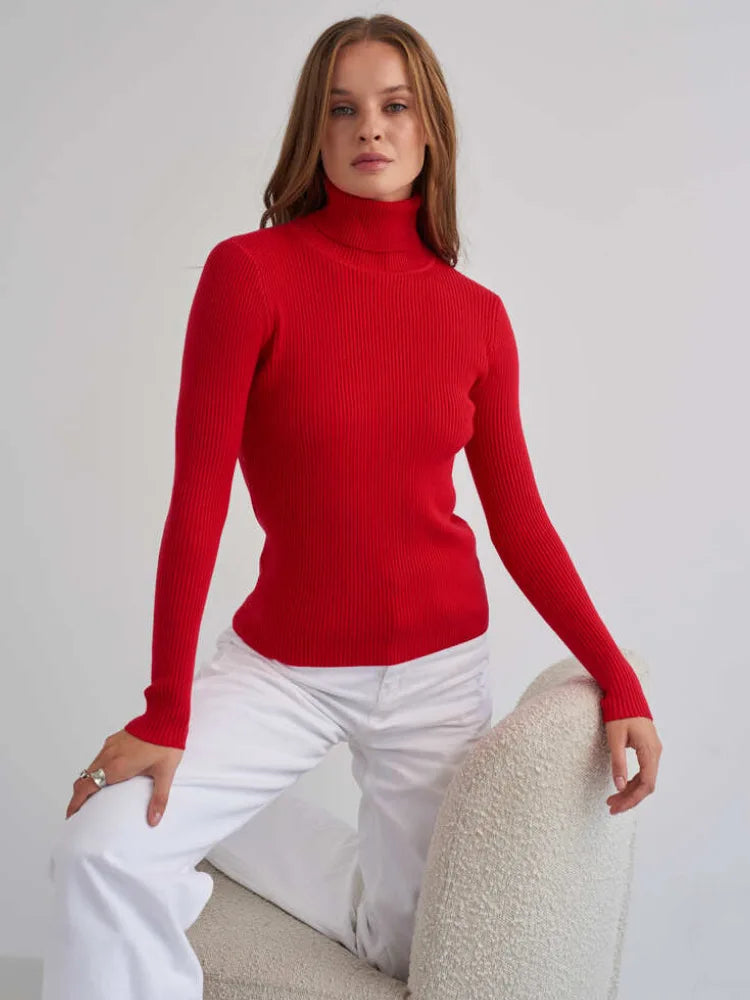 Basic High Neck Jumper